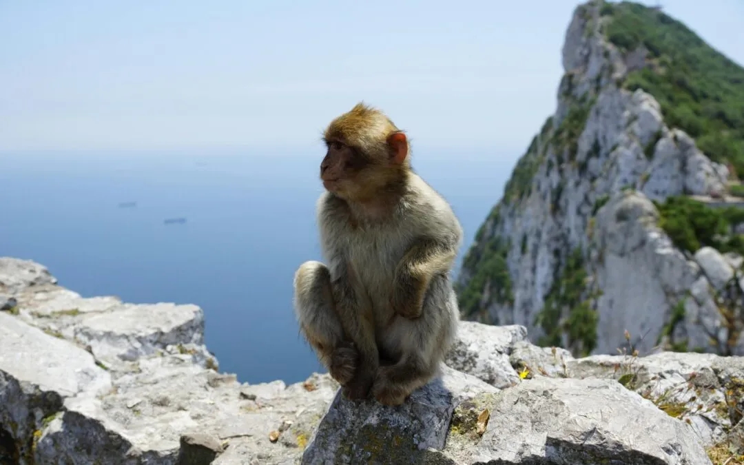 Gibraltar: dowód czy paszport? Sprawdź, co jest potrzebne do wjazdu