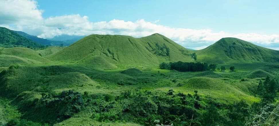 Trzecia co do wielkości wyspa na Ziemi: Borneo i jego unikalne ekosystemy Trzecia co do wielkości wyspa na Ziemi: Borneo i jego unikalne ekosystemy