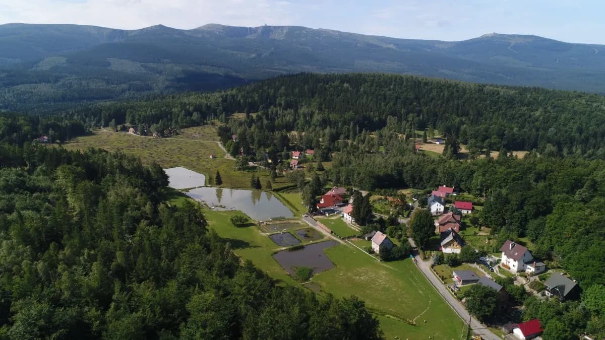 Najciekawsze atrakcje w Michałowicach, które musisz zobaczyć